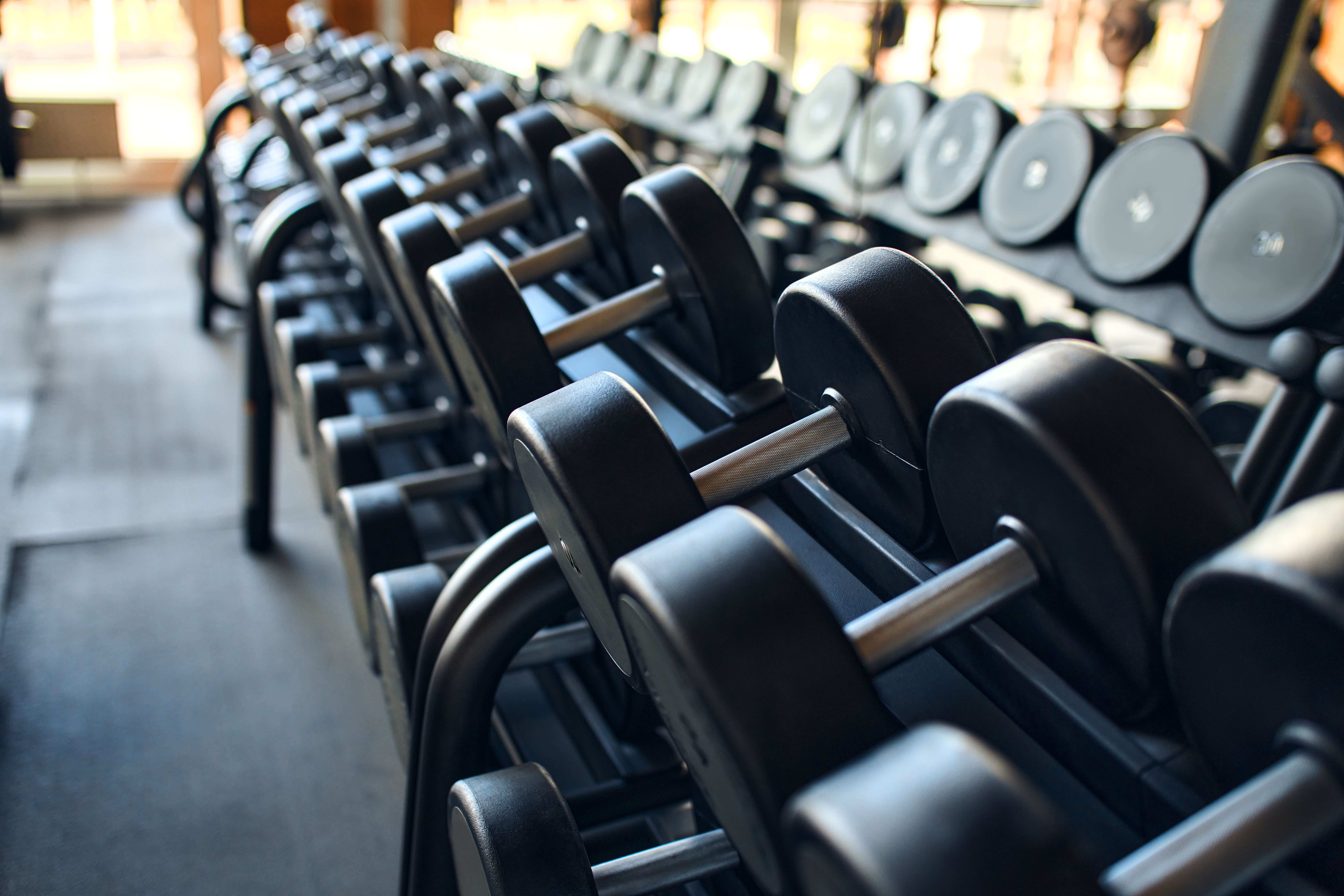 Dumbbells lined up on a rack in a gym